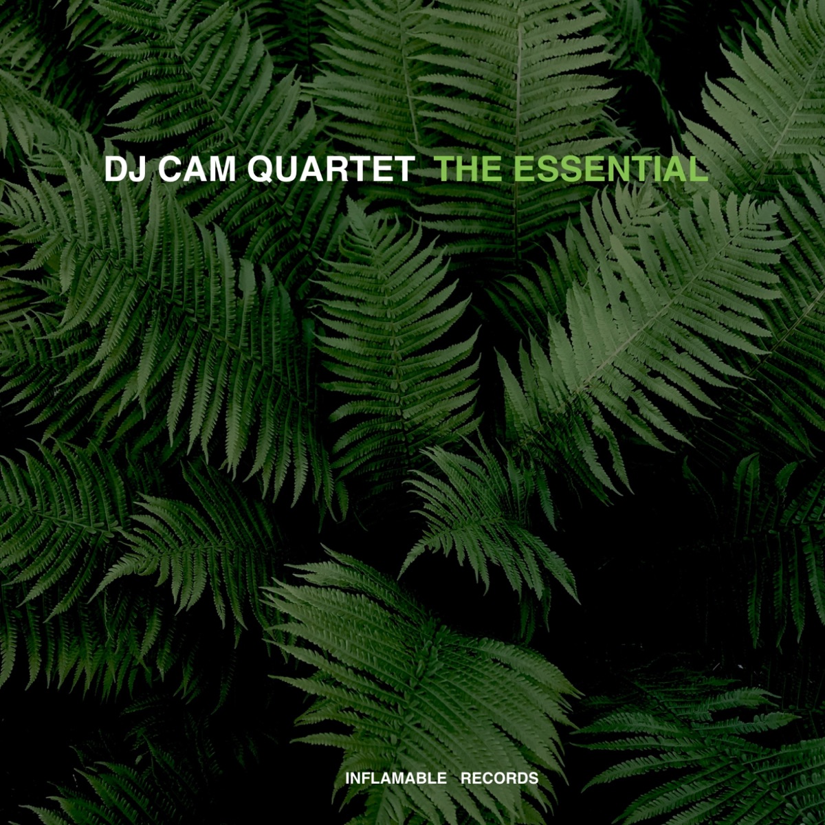 Rebirth of Cool - Album by DJ Cam Quartet - Apple Music