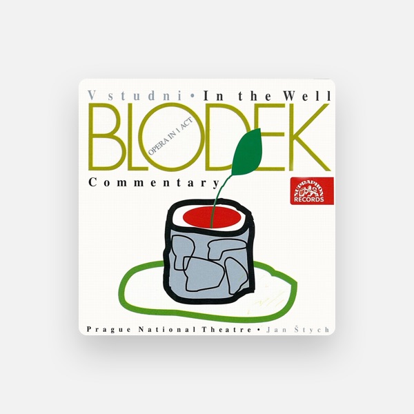 Vojtech Kocian's avatar