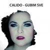 Gubim Sve - Single