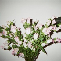 Drip - Single - The Marías & Triathalon