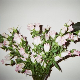 Drip The Marías & Triathalon