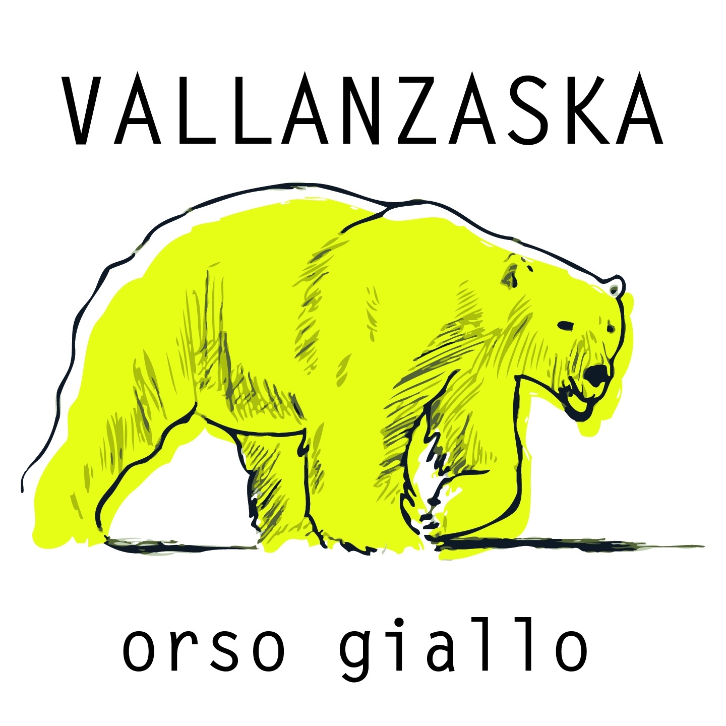 Orso giallo