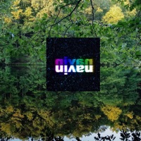 Ditch - Single - Nivan