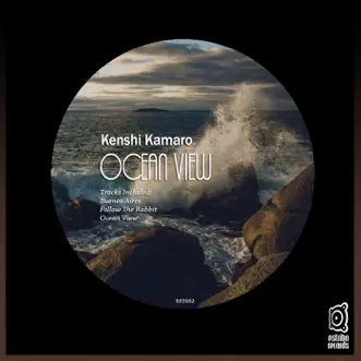 Ocean View - Single by Kenshi Kamaro album reviews, ratings, credits