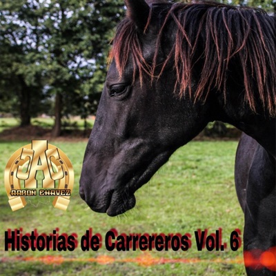 Historias de Carrereros, Vol. 6