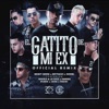 El Gatito de Mi Ex (Remix) [feat. Darkiel, Juhn, Pusho, Gigolo Y La Exce & Pacho] - Single