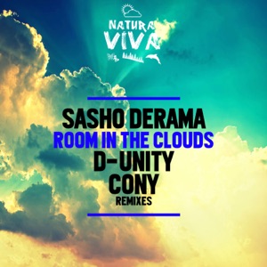 Room in the Clouds - Single