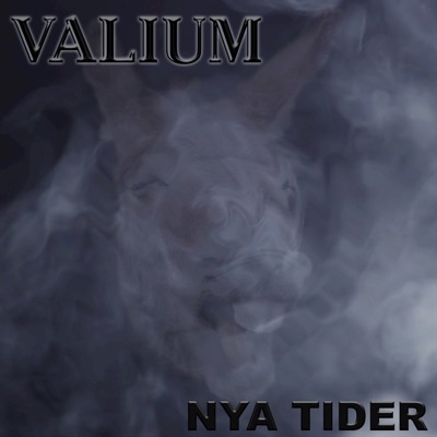 Nya Tider - EP