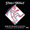Oh Carolina/We'll Be Together (Live) - Sting & Shaggy