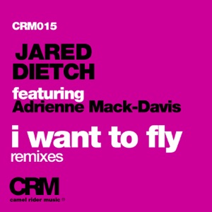I Want to Fly, Pt. 2 (feat. Adrienne Mack-Davis) - Single