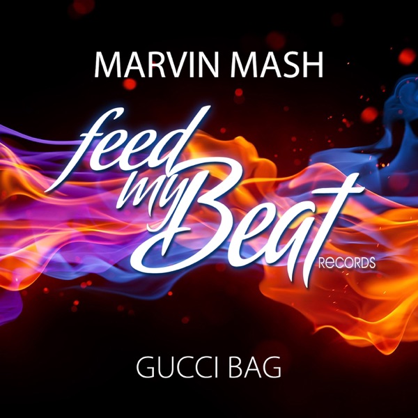 Gucci Bag - Single