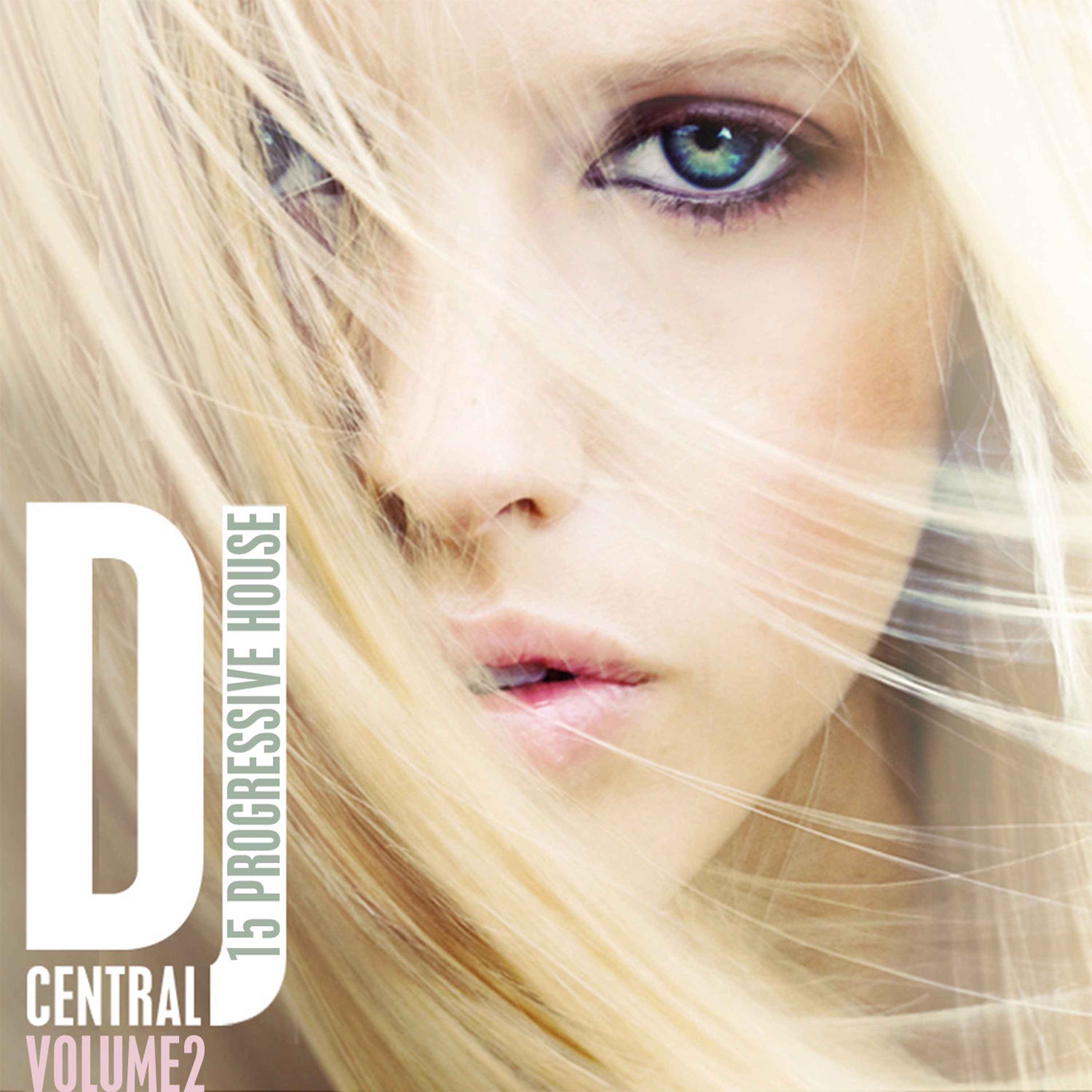 DJ Central, Vol. 2 (Progressive House)