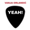 The Great Gig In the Sky - Vanja Orlandic lyrics