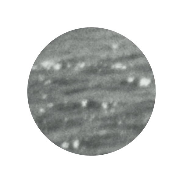 Circuit Rift - Single
