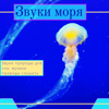 Звуки моря - Звуки Моря Star
