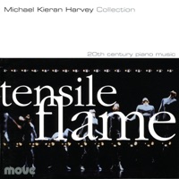 Tensile Flame - Michael Kieran Harvey