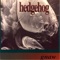 Butterglory Anuerysm - Hedgehog lyrics