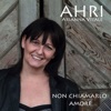 Non Chiamarlo Amore - Single