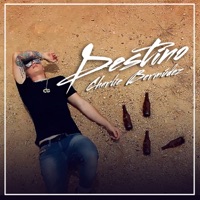 Destino - Single - Charlie Bermudez