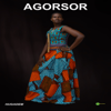 I Do Not Know What They Need - Agorsor