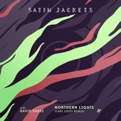Northern Lights (feat. David Harks) [Carl Louis Remix] artwork