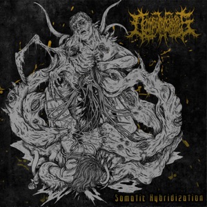 Shroud Obscurity