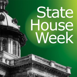 Energy Matters Dominate This Week at the S.C. Statehouse