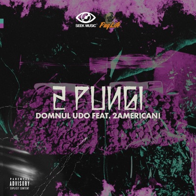 2 Pungi (feat. 2Americani) - Single