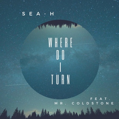 Where Do I Turn (feat. Mr. Coldstone) - Single