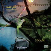 Benhayyi Al - Baghbaghan (Salute the Parrot) artwork