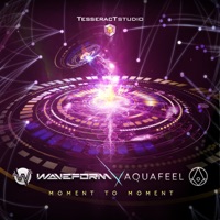 Moment to Moment - Single - Waveform & Aquafeel