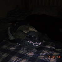 I Hate Myself - Single - Mouse