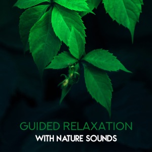 Guided Relaxation with Nature Sounds: Amazing Sounds of Rain, Birds, Woodland & Ocean, Soothing Music for Mind, Body & Soul, Feeling Peace & Serenity