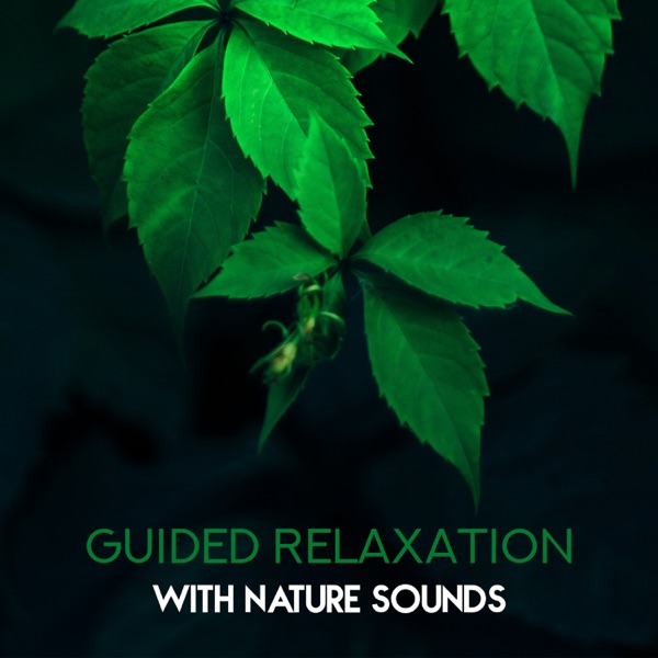Guided Relaxation with Nature Sounds: Amazing Sounds of Rain, Birds, Woodland & Ocean, Soothing Music for Mind, Body & Soul, Feeling Peace & Serenity