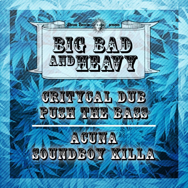 Push the Bass / Soundboy Killa - Single
