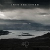 Into the Storm - Single