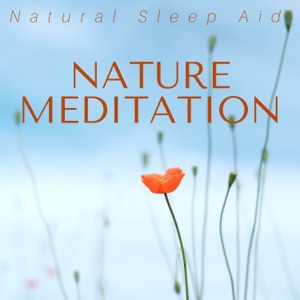 Nature Meditation: Natural Sleep Aid, Soothing Mindfulness Exercises, Relaxation Music, Stress Relief