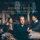 Trio for Horn, Violin and Piano No. 2 in F Major: I. Adagio - Larghetto - Maestoso - Allegro artwork