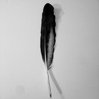 The Phoenix - Single - Thomas X