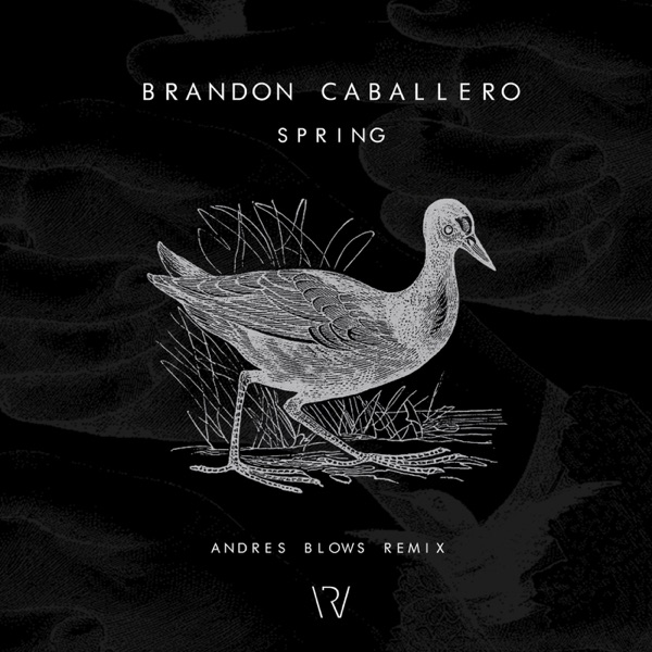 Spring - Single