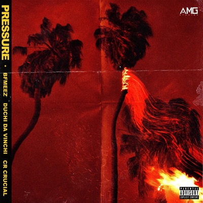 Pressure (feat. Bfmeez, Duchi Da Vinchi & CR Crucial) - Single