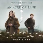 An Acre of Land (Edit) artwork