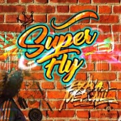 Super Fly artwork