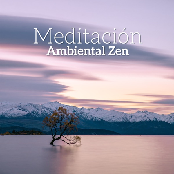 Meditación Ambiental Zen - Yoga Curativo, El Alivio del Estrés & Terapia de Masajes, Buena energía