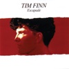 Tim Finn - In A Minor Key