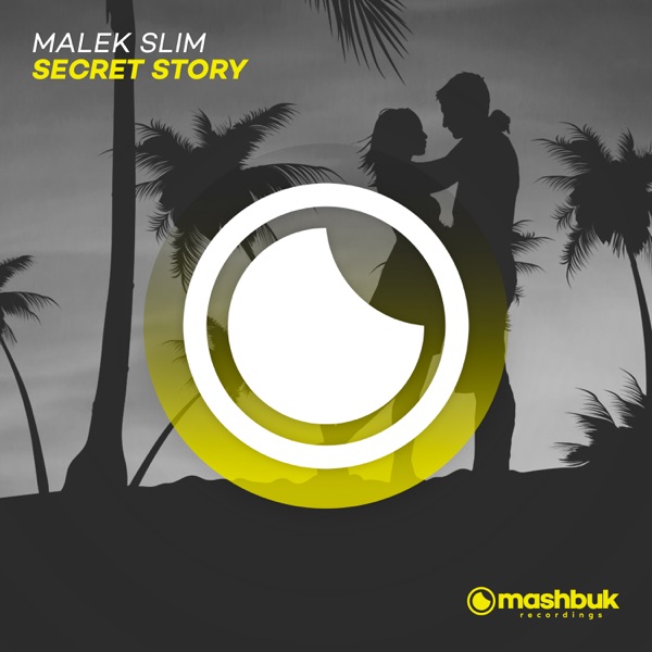 Secret Story (Extended Mix) - Single