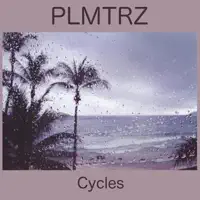 Wet Forest — PLMTRZ