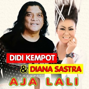 Aja Lali Album Art