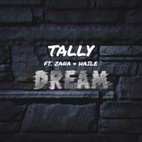 Dream (feat. Zana & Haile) - Single - Tally