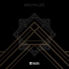 Into My Life - Single